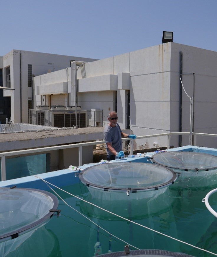 Chelsea-LabSTAF-hoybiomasse-instrument_1